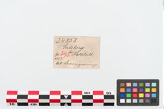 Etiketten zu Bronzering (NHMW-PRAE-024858)